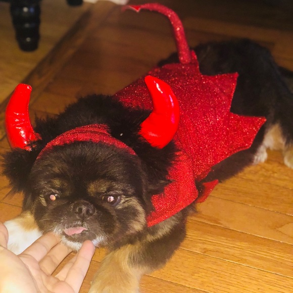 Other Little Devil Dog Costume For Pups Poshmark